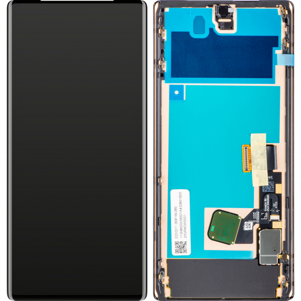 Display Google Pixel 6 Pro