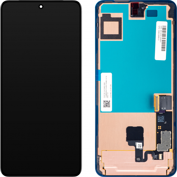 Display Google Pixel 8 Pro