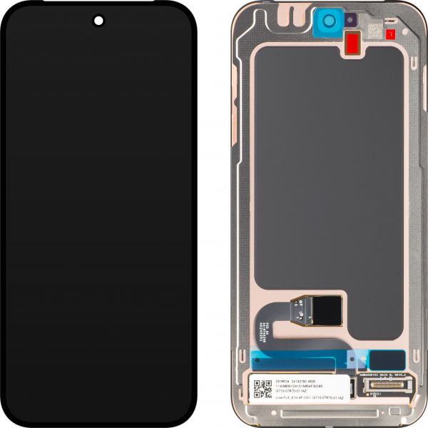 Display Google Pixel 10