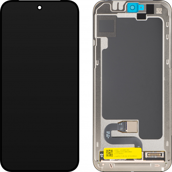 Display Google Pixel 10 Pro XL