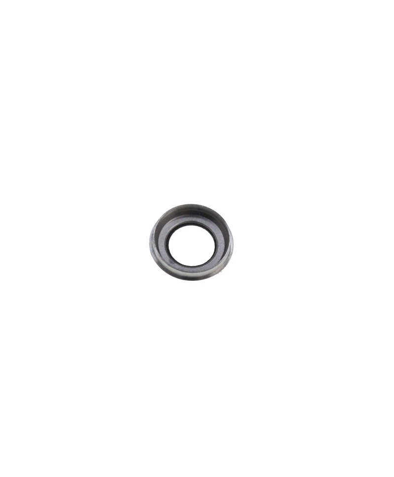 Geam camera Apple iPhone 6
