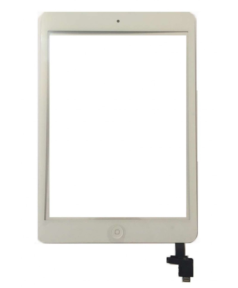 Touchscreen Apple iPad Mini